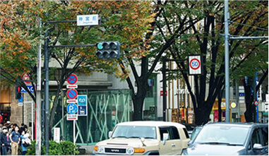 東京事務所